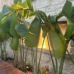 Ξενοδοχείο Minos Alacati Çeşme