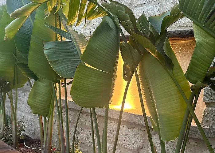 酒店 Minos Alacati Çeşme